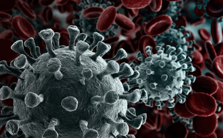 featured Image close up rendering of the Coronavirus